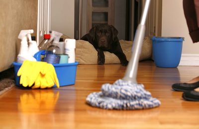 Various Types of Cleaning Services